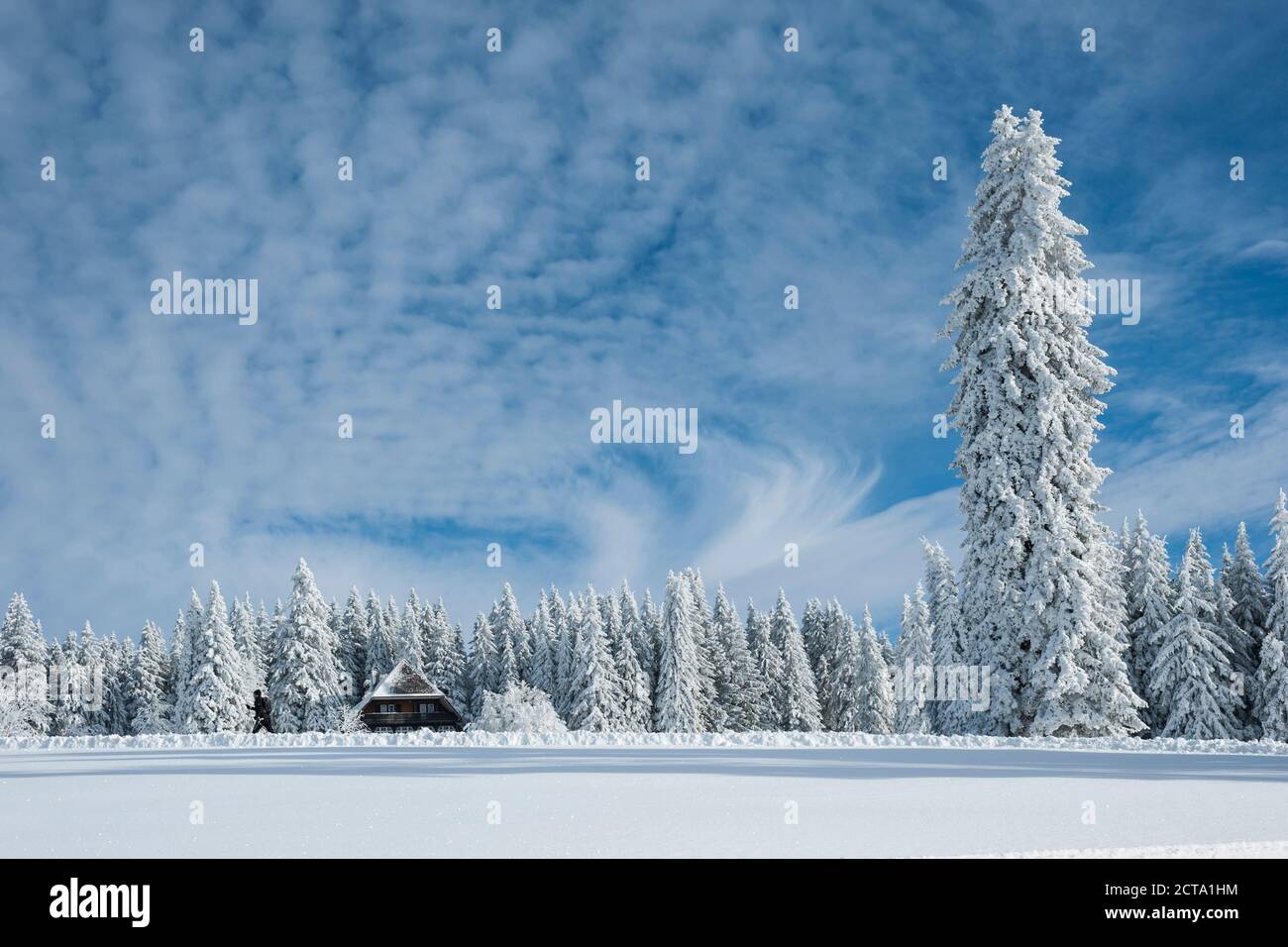 Germania Baden-Wuerttemberg, Foresta Nera, Feldberg, capanna e alberi in inverno Foto Stock