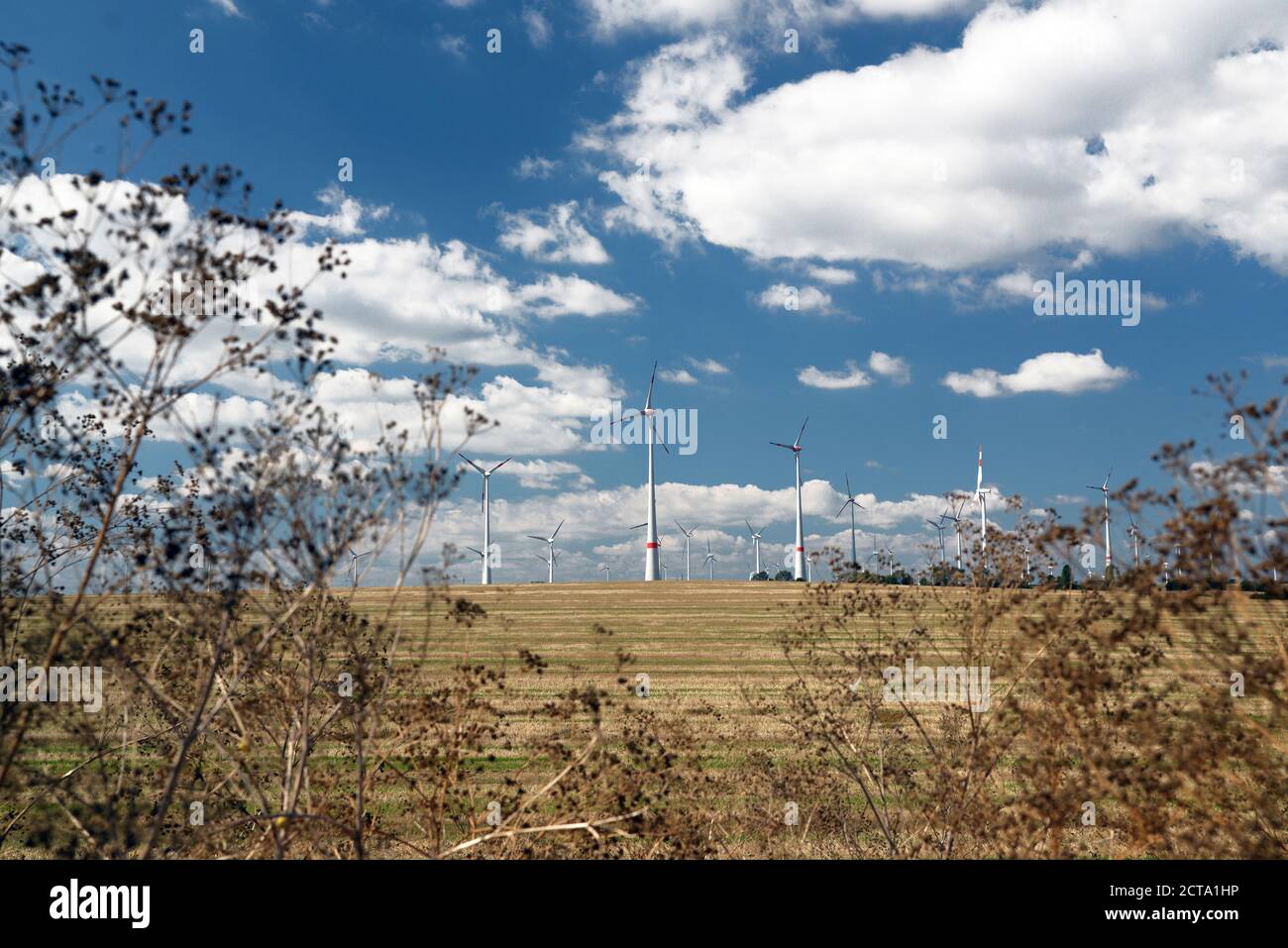 In Germania, in Sassonia, impianto eolico Foto Stock