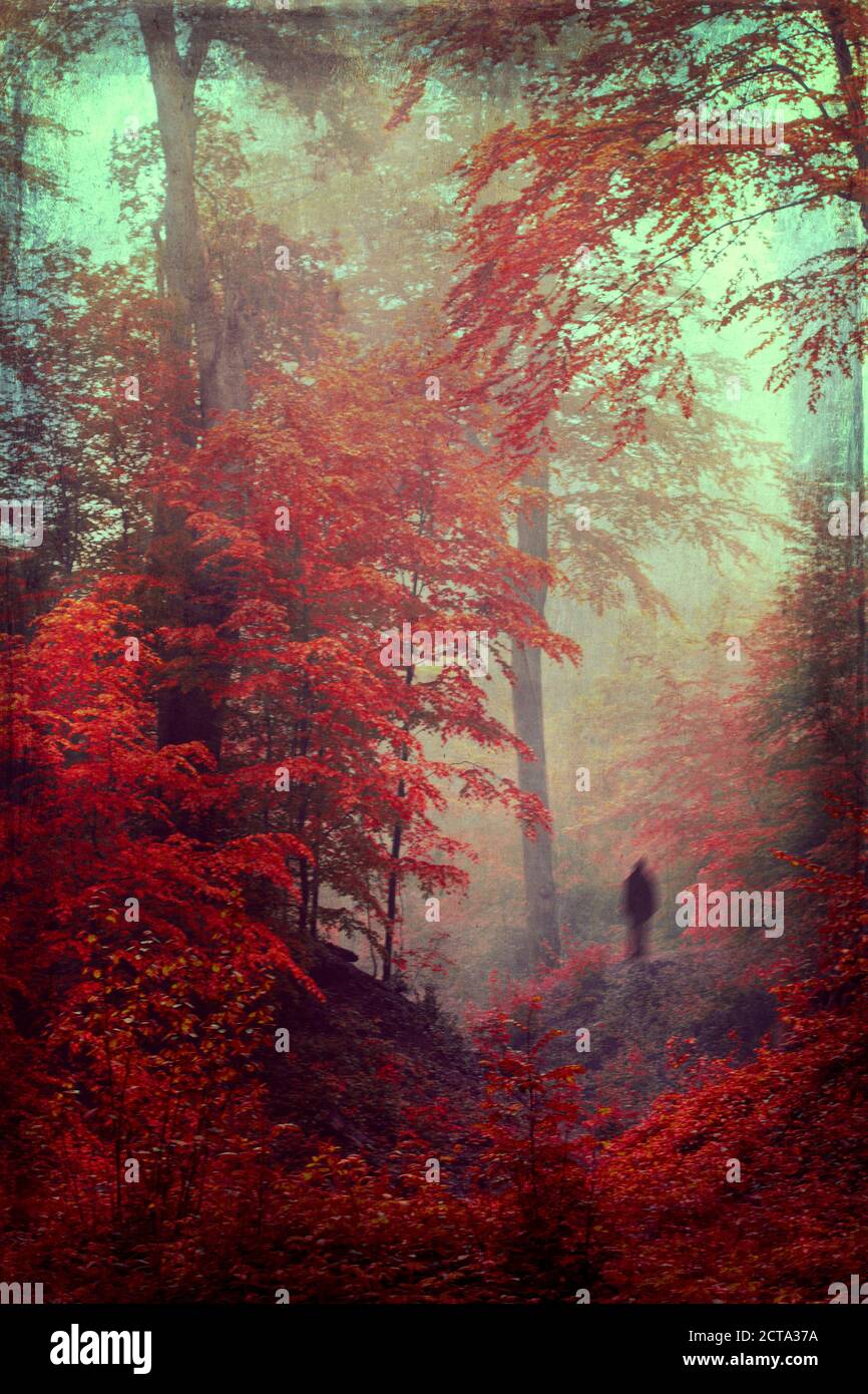 Germania, la sagoma scura di una persona in autunno foresta, effetto testurizzato Foto Stock