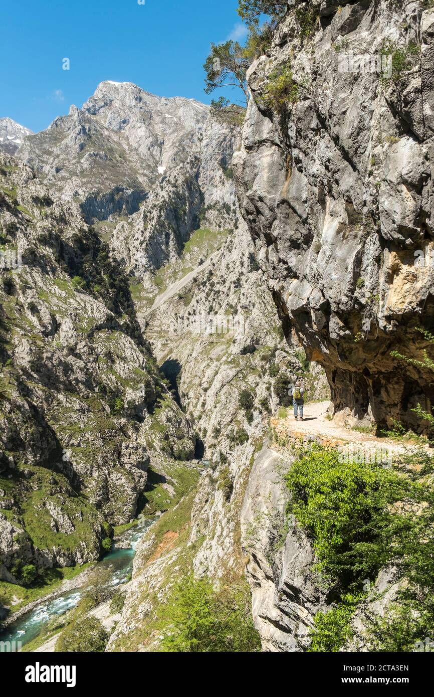 Spagna, Asturia, Parco Nazionale Picos de Europa, Ruta del Cares, sentiero da Poncebos a Caino Foto Stock