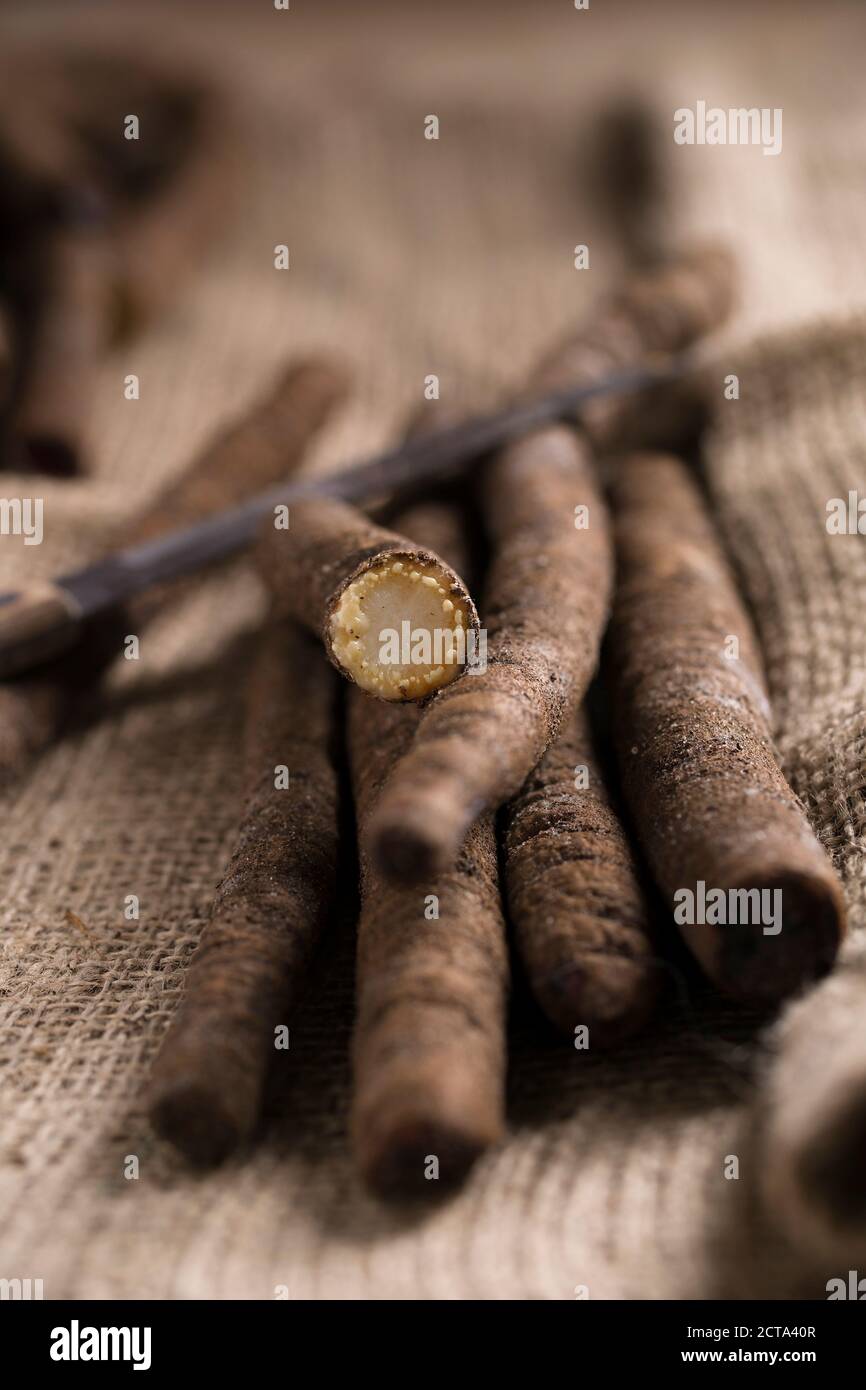 Affettato e intera salsifies nero (scorzonera hispanica) e coltello da cucina sulla iuta, close-up Foto Stock