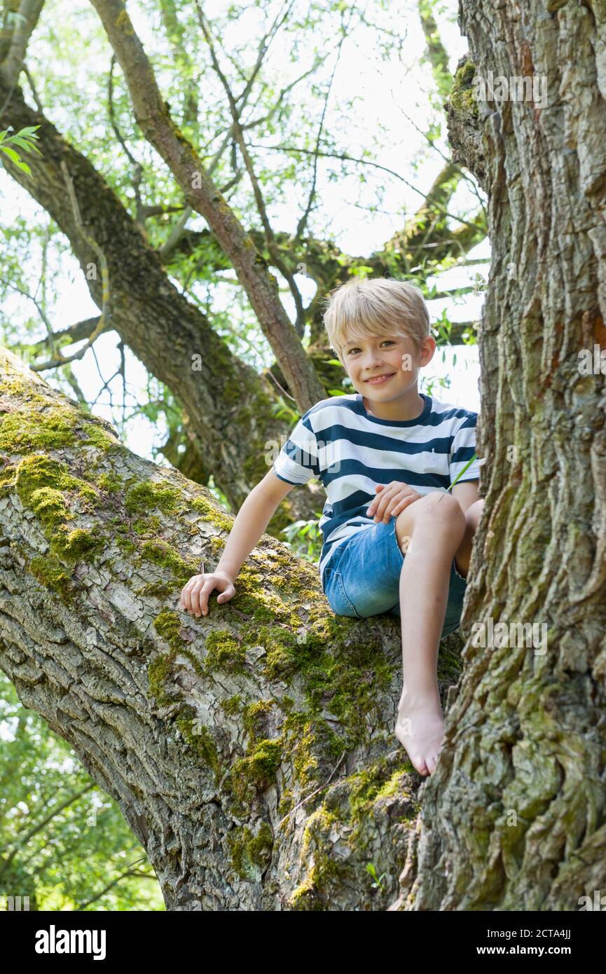 In Germania, in Baviera, sorridente ragazzo seduto su un albero Foto Stock