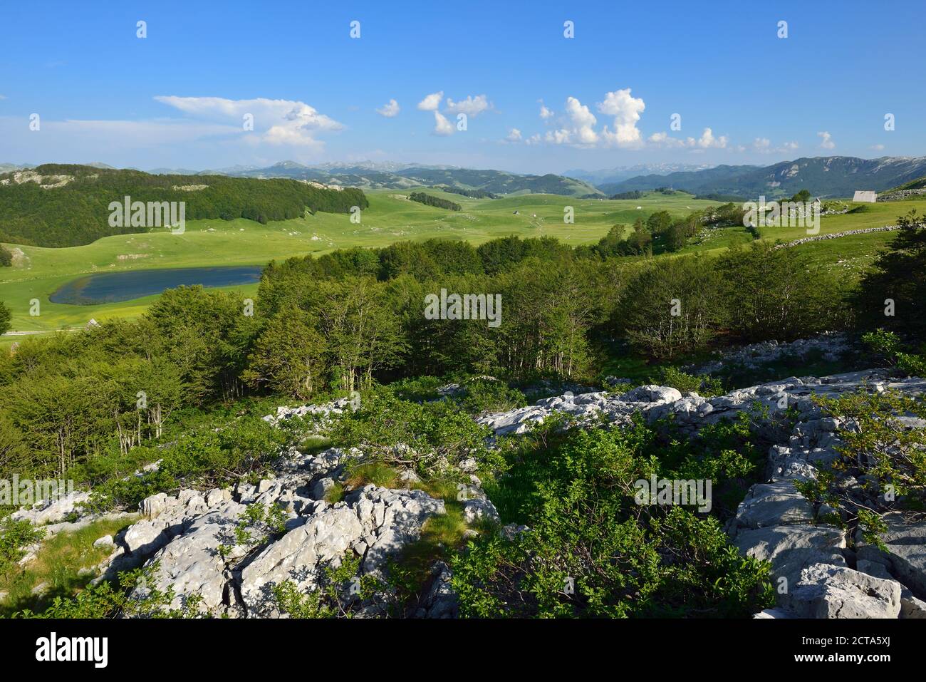 Montenegro, Parco Nazionale del Durmitor, pascolo alpino a Sinjajevina alta pianura Foto Stock