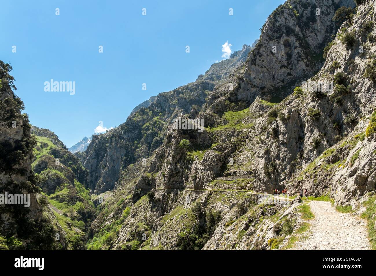 Spagna, Asturia, Parco Nazionale Picos de Europa, Ruta del Cares, sentiero da Poncebos a Caino Foto Stock