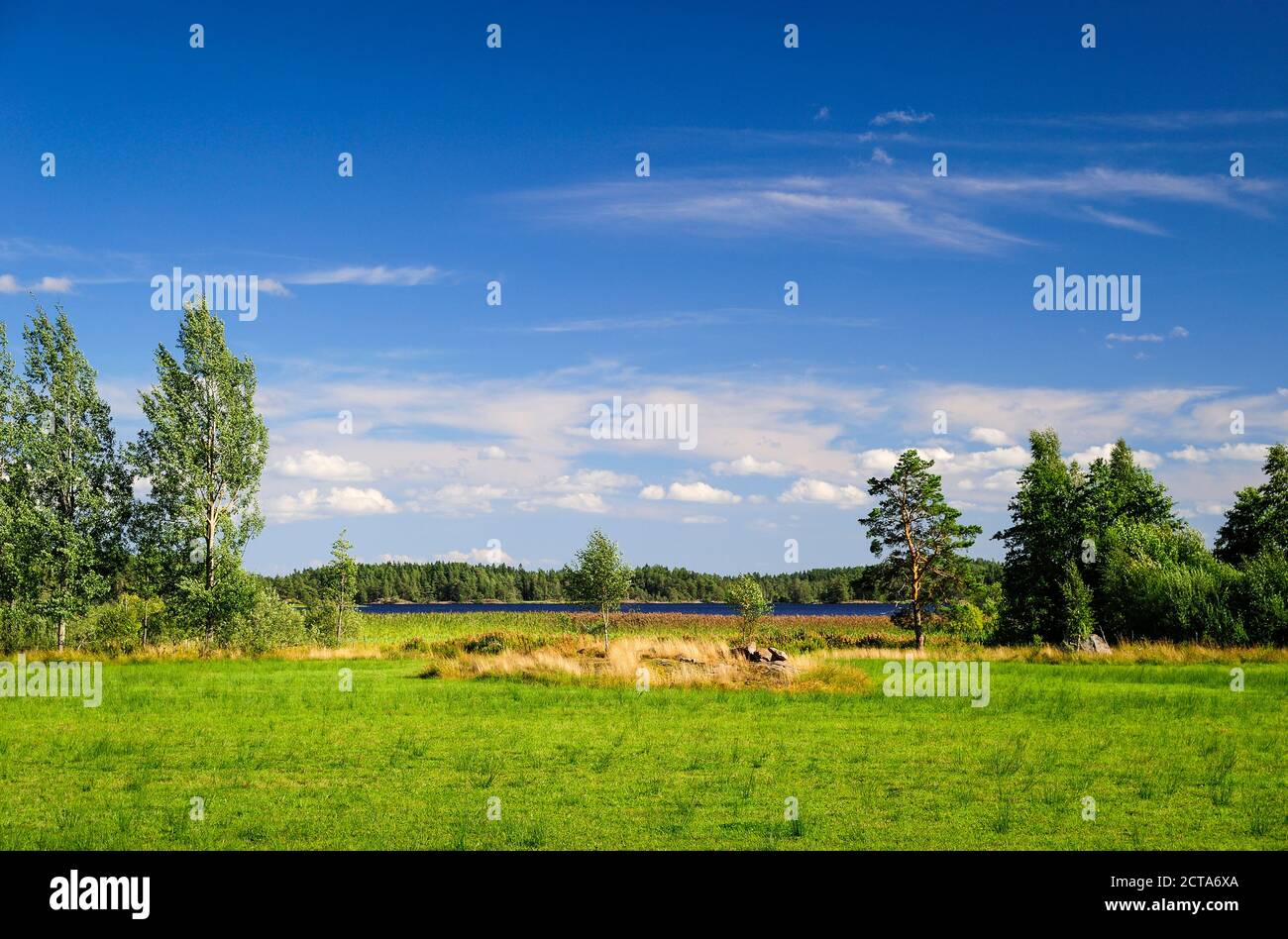 La Svezia, Smaland, Kalmar laen, Vimmerby, paesaggio Foto Stock