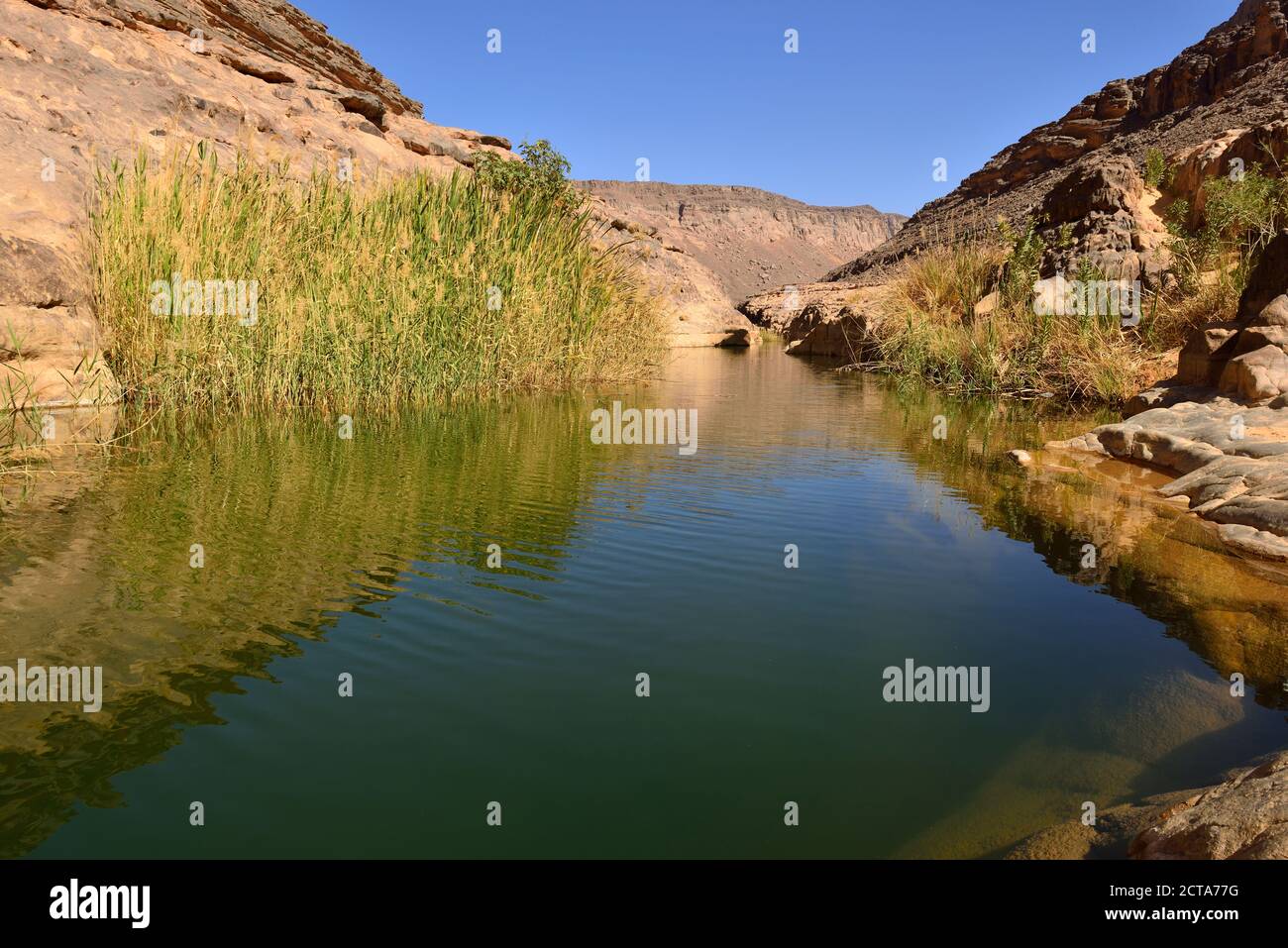Algeria, del Tassili N'Ajjer National Park, Iherir, acqua in una guelta a Idaran Canyon Foto Stock
