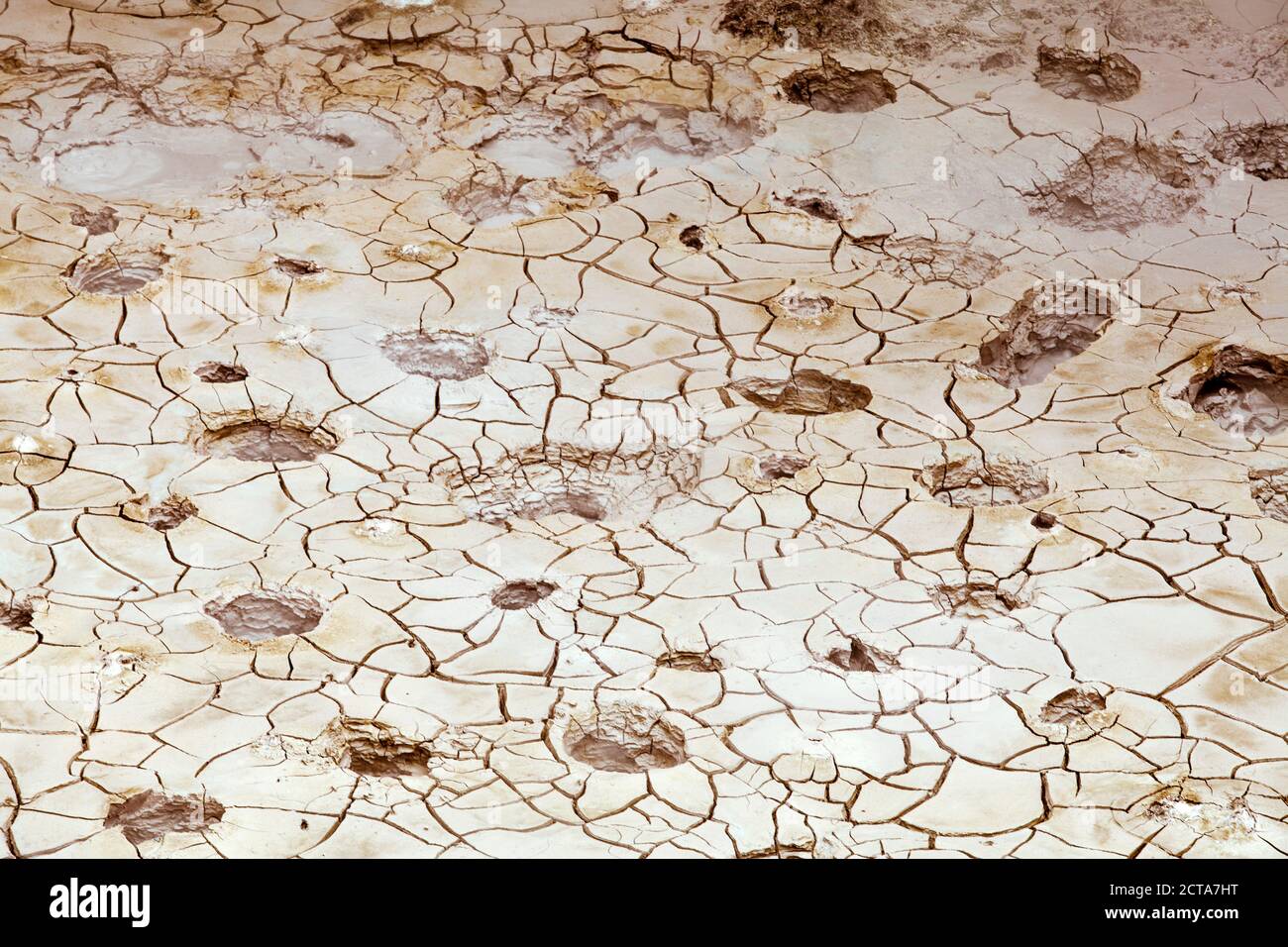 Nuova Zelanda, Taupo zona vulcanica, i crateri della luna, campo geotermico, close-up Foto Stock