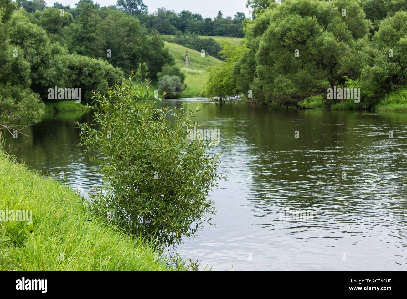 Una riva ripida, alberi lungo le rive, un cespuglio salice in primo piano. Il fiume Protva in Russia in piena estate, un luogo ideale per il turismo. Foto Stock