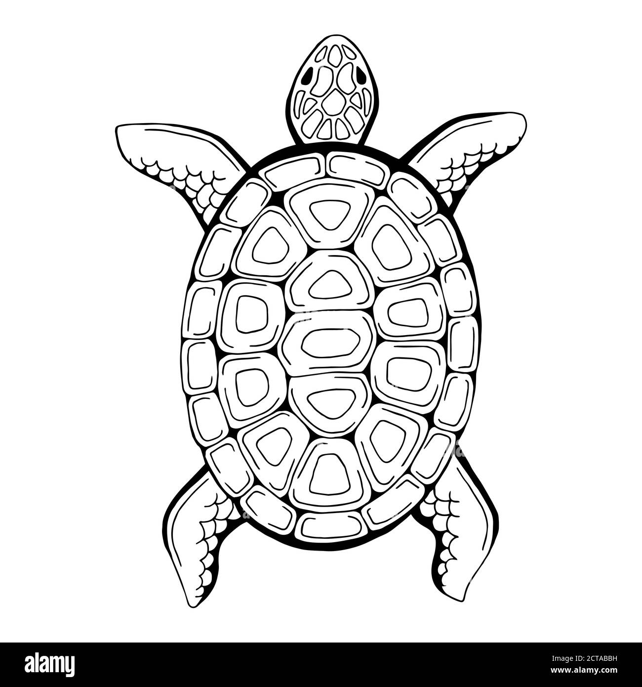 Tartaruga animale grafico nero bianco isolato illustrazione vettore Illustrazione Vettoriale