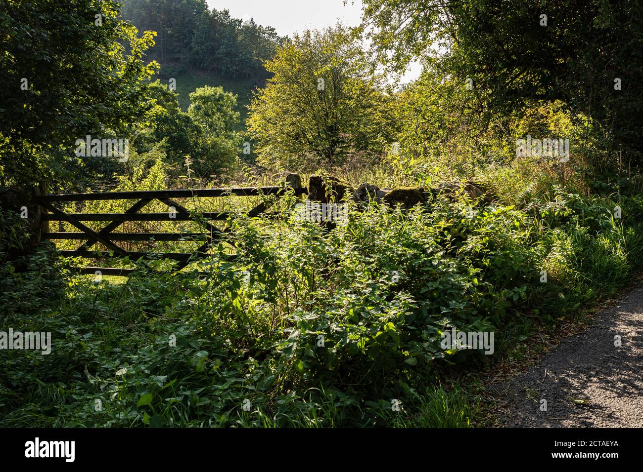 Un piccolo cancello di fattoria in una corsia di campagna vicino a Bradbourne, Peak District, Derbyshire Foto Stock
