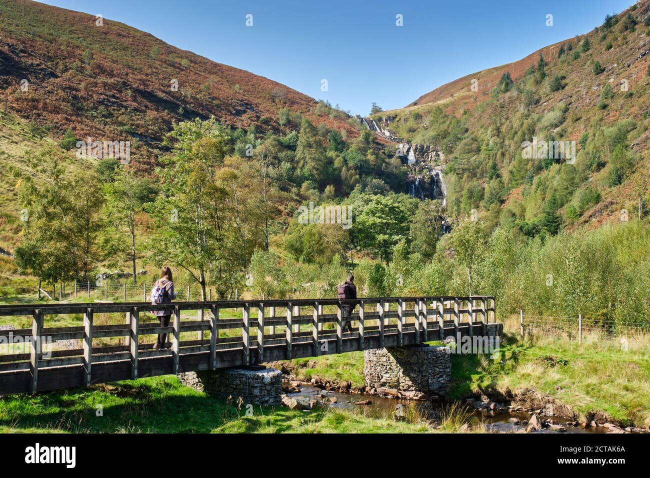 Un ponte che attraversa l'Afon Eiddew verso la cascata Pistyll Rhyd-y-mainciau al lago Vyrnwy, Powys, Galles Foto Stock