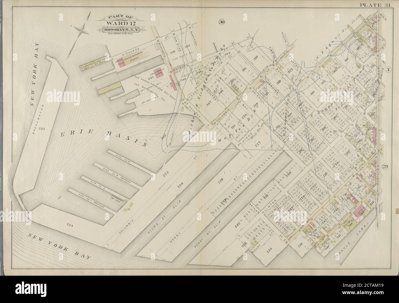 Piatto 31: Delimitato da Richards Street, Partition Street, Dwight Street, Bush Street, Columbia Street, Center Street, Hicks Street, Luquer Street, Henry Street, Nelson Street, Hamilton Avenue, Smith Street, Percival Street, Court Street, Bryant Street, Clinton Street, Bay Street, Hicks Street, (New York Bay) Halleck Street e Elizabeth Street., cartografia, mappe, 1886, Robinson, E. (Eliseo), Pidgeon, R. H. (Roger H Foto Stock