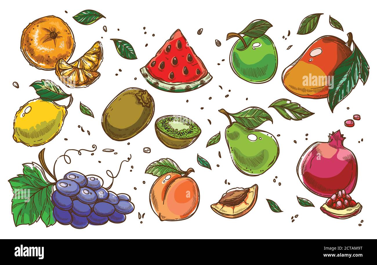 Frutta tropicale ed esotica, dieta e nutrizione sana Illustrazione Vettoriale