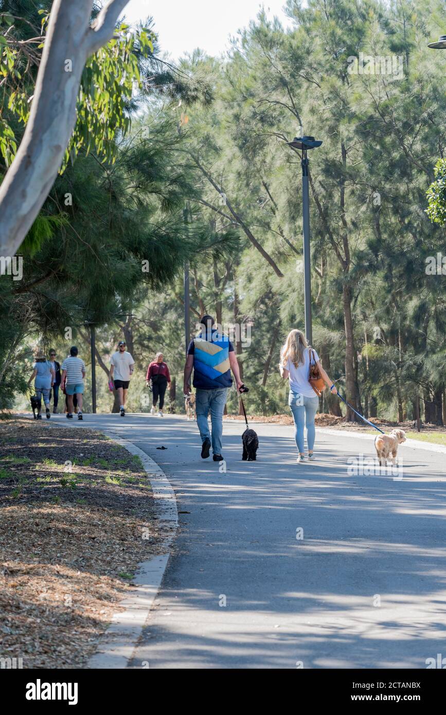 Le persone camminano i loro cani lungo uno dei molti sentieri, ombreggiati da Eucalypt e SheOak alberi nel centro ovest, Sydney Park ad Alessandria, Sydney Australia Foto Stock