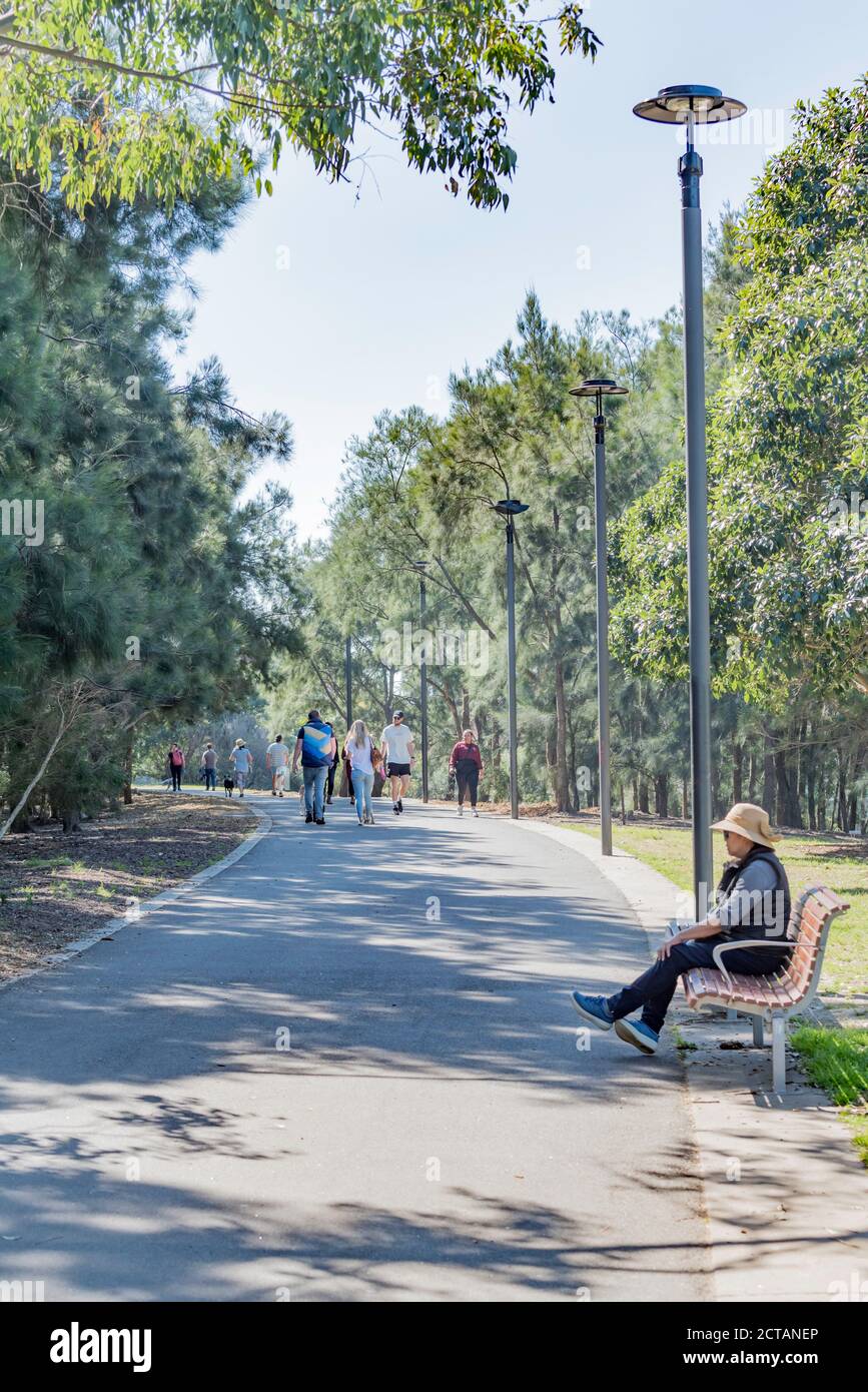 Le persone camminano i loro cani lungo uno dei molti sentieri, ombreggiati da Eucalypt e SheOak alberi nel centro ovest, Sydney Park ad Alessandria, Sydney Australia Foto Stock