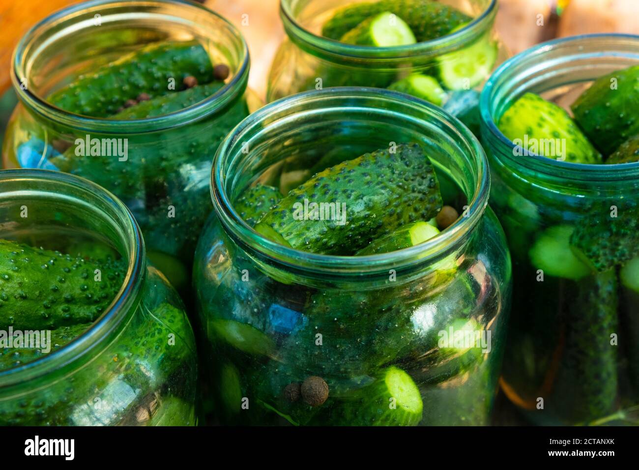 vasi di cetrioli da vicino, gherkins inscatolamento per l'inverno. Foto Stock