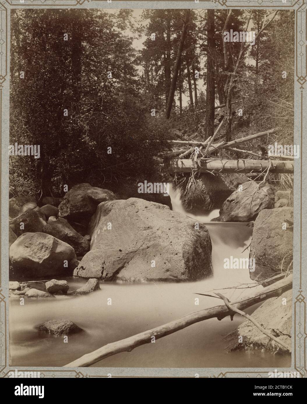 Driftwood Falls, foto, fotografie, 1875, Hillers, John K., 1843-1925 Foto Stock