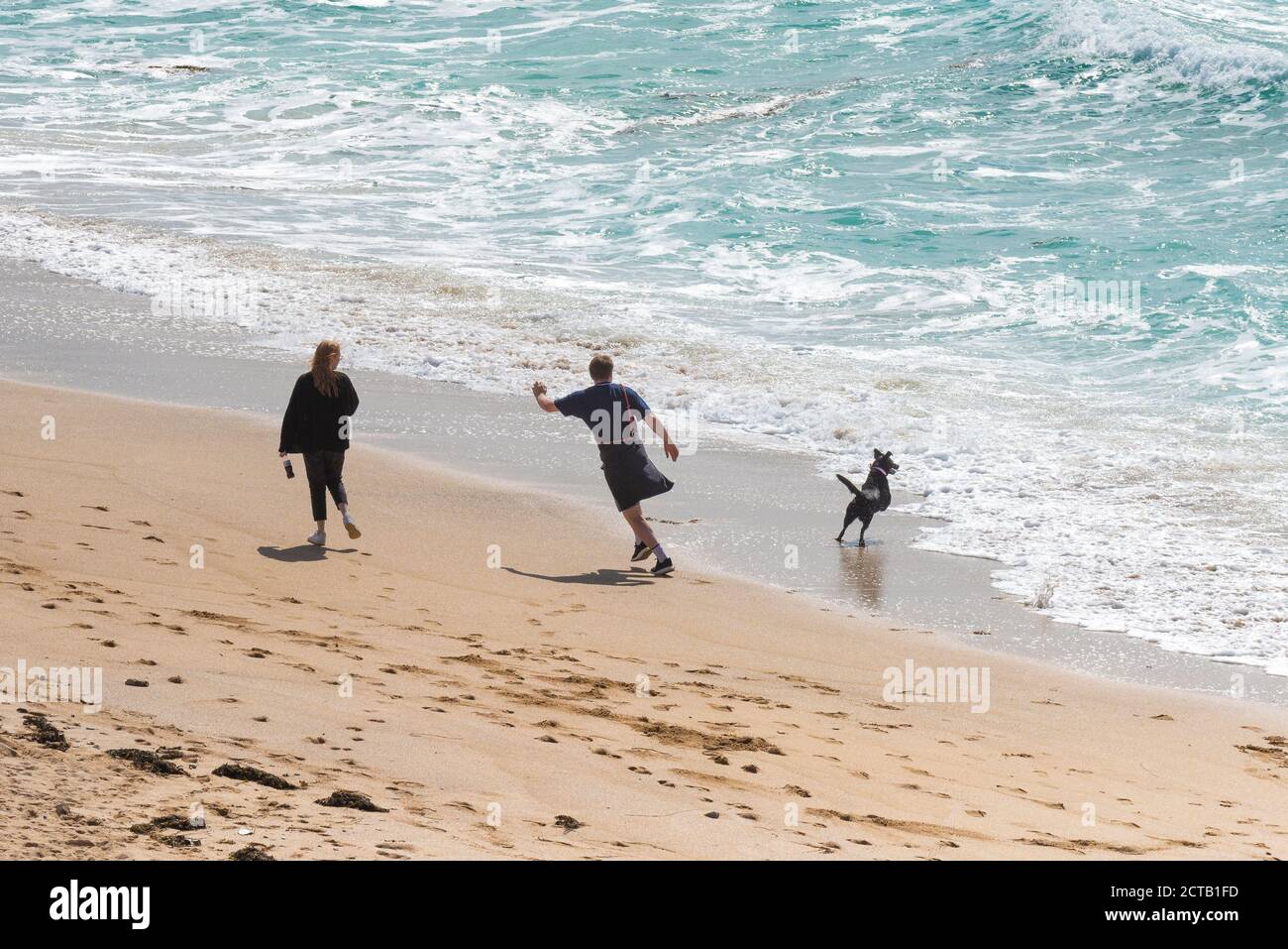 Un uomo che lancia una palla per un cane su Fistral Beach a Newquay in Cornovaglia. Foto Stock