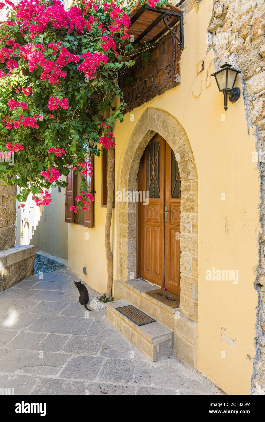 Isola greca immagine di bougainvillea arrampicata su una vecchia casa di Rodi sull'isola di Rodi, Dodecanese, Grecia Foto Stock