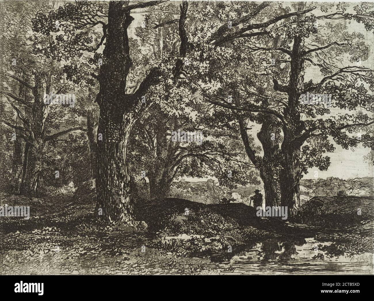 Alberi, piscina a destra, uomo con bastone sotto l'albero a destra, immagine fissa, stampe, 1857 - 1870, Michelin, Jules (1817-1870 Foto Stock