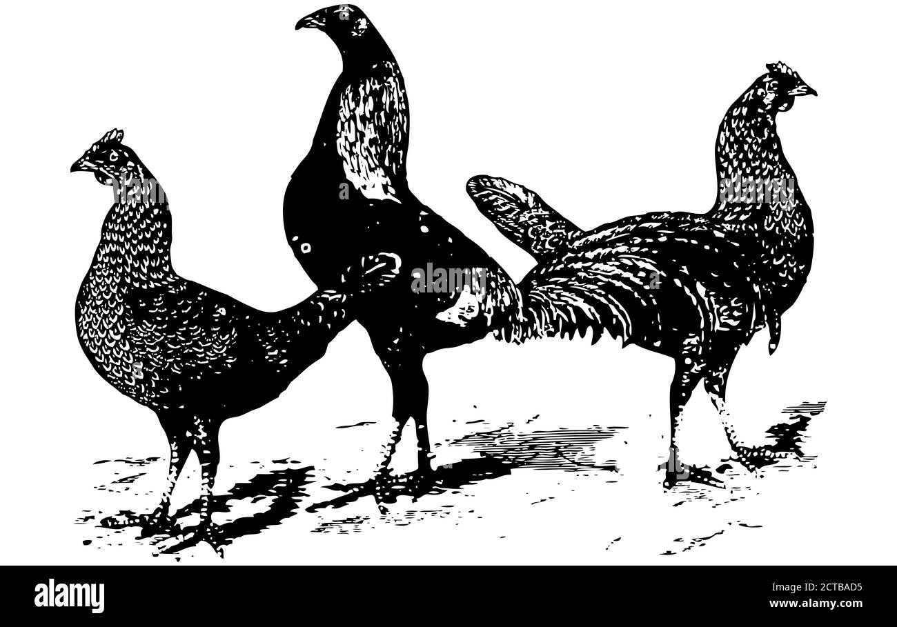 Illustrazione moderna di disegno isolato in stile cartoon. Illustrazione. Clipart. Foto Stock