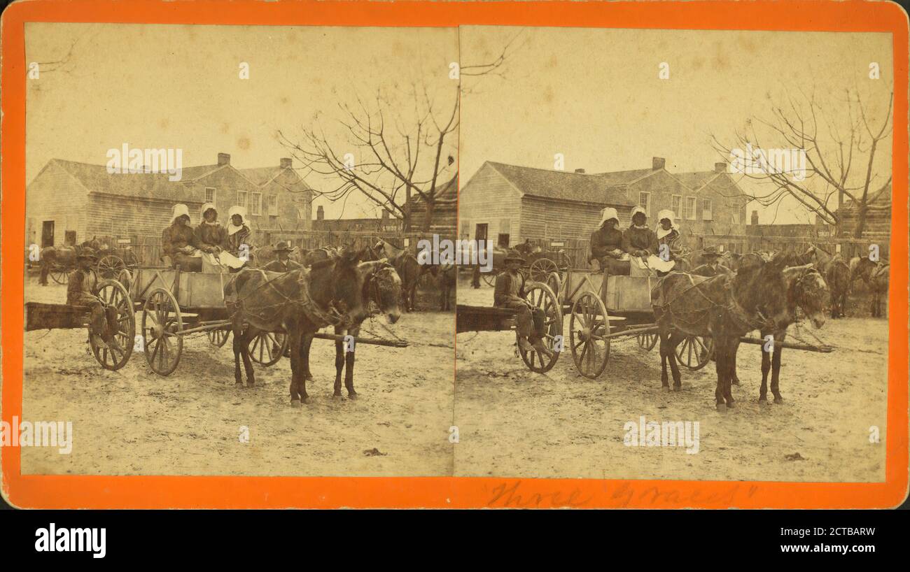 Tre grazie. Tre donne in un carrello di mule., 1868 Foto Stock