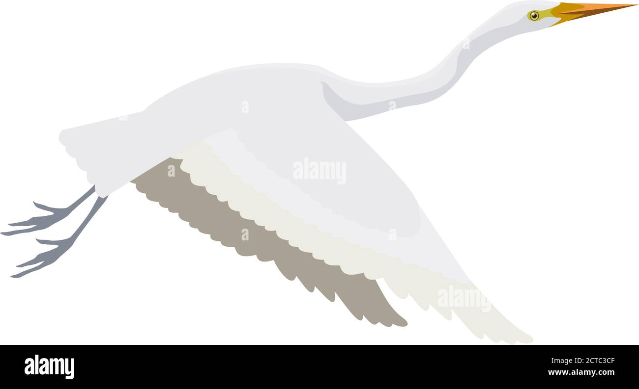 Vettore Grande airone bianco Illustrazione Vettoriale