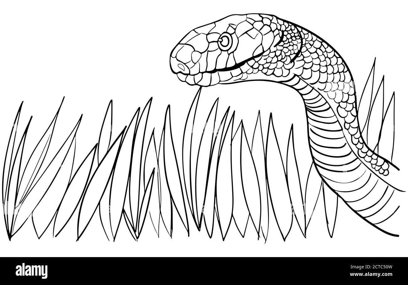 Illustrazione moderna di disegno isolato in stile cartoon. Illustrazione. Clipart. Foto Stock