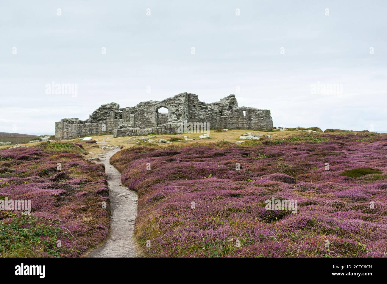 Un percorso attraverso erica alle rovine del castello di re Carlo, Tresco, Isole di Scilly Foto Stock