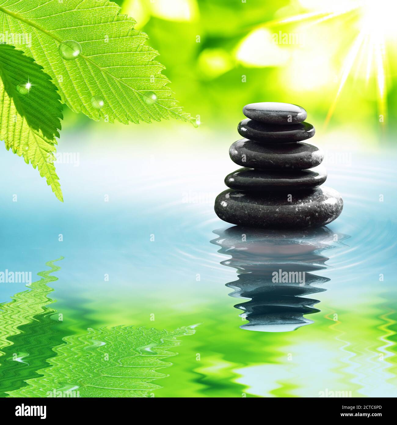 Pietre di zen equilibrate in acqua e foglie verdi Foto Stock
