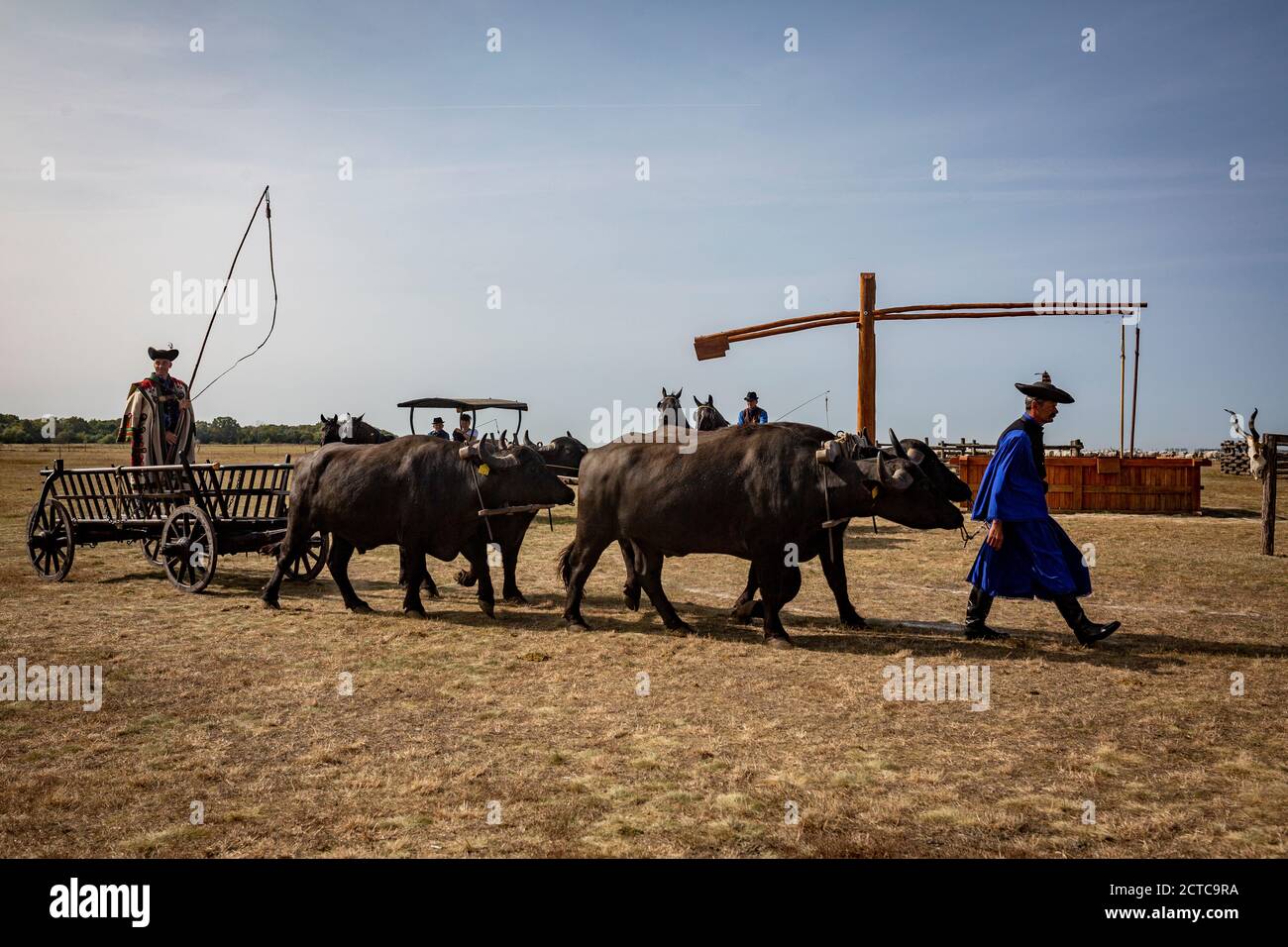 Pastori che camminano attraverso il campo per allinearsi per evento Foto Stock
