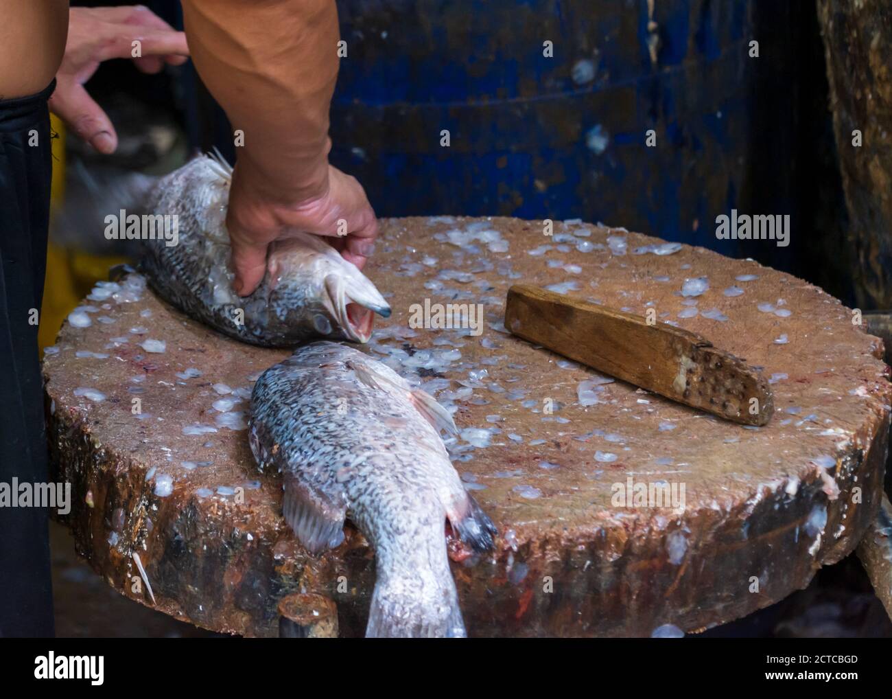 Un pescatore prepara il suo pesce al mercato Khlong Toei, il più grande mercato fresco di Bangkok, in Thailandia. Foto Stock