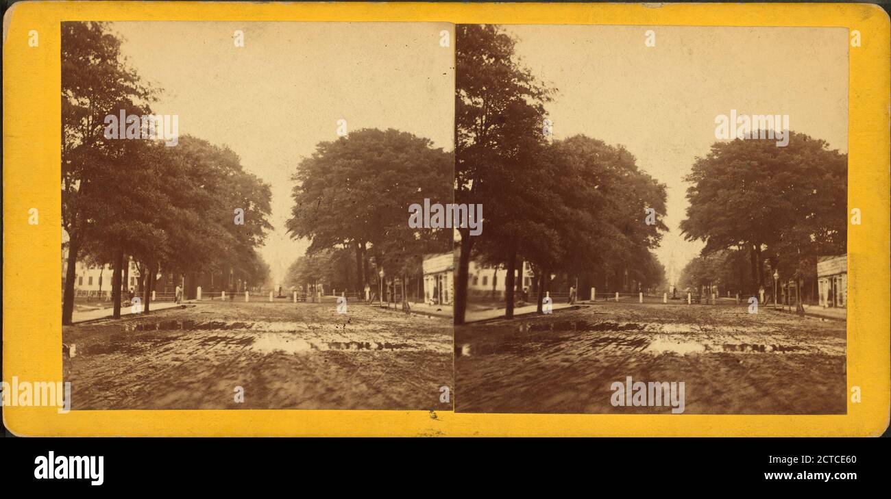 Vista di una strada fangosa con un puddle dopo la pioggia., immagine fissa, Stereographs, 1860 - 1890 Foto Stock