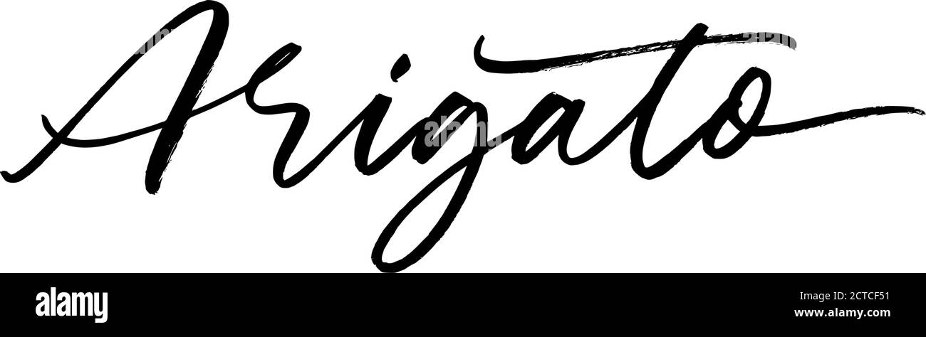 Grazie in giapponese inchiostro pennello vettoriale lettering. Illustrazione Vettoriale