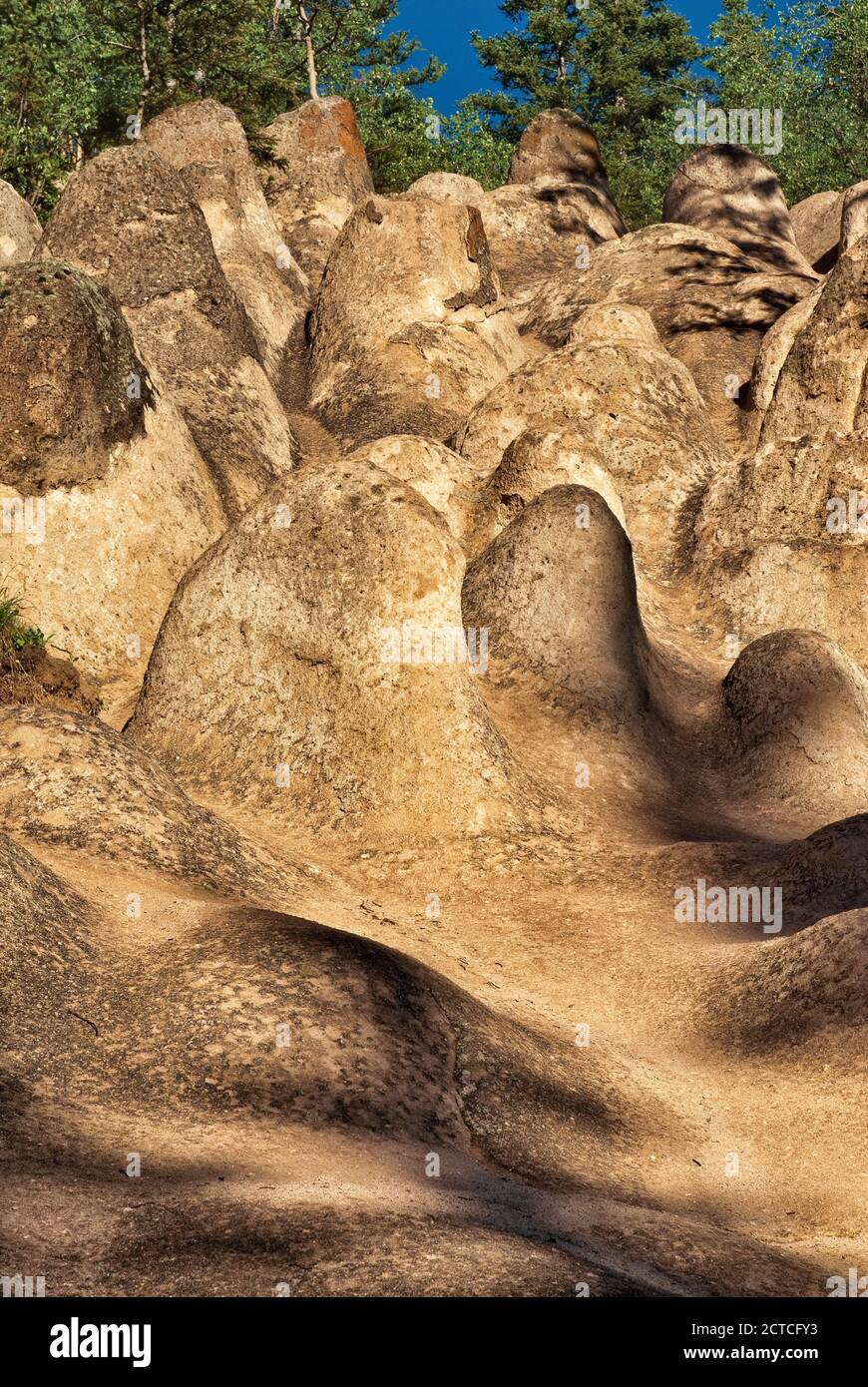 Hoodoo vulcanici di tufo all'Area geologica di Wheeler nelle Montagne di San Juan, Colorado, Stati Uniti Foto Stock