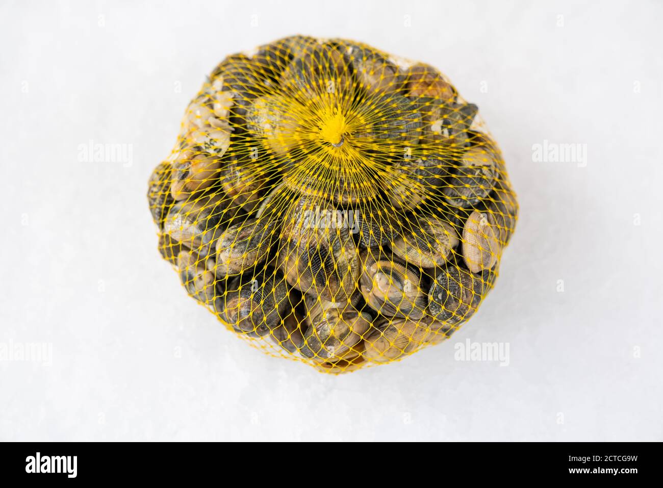 vongole fresche di raccolto crudo nel sacchetto su ghiaccio, primo piano. Foto Stock