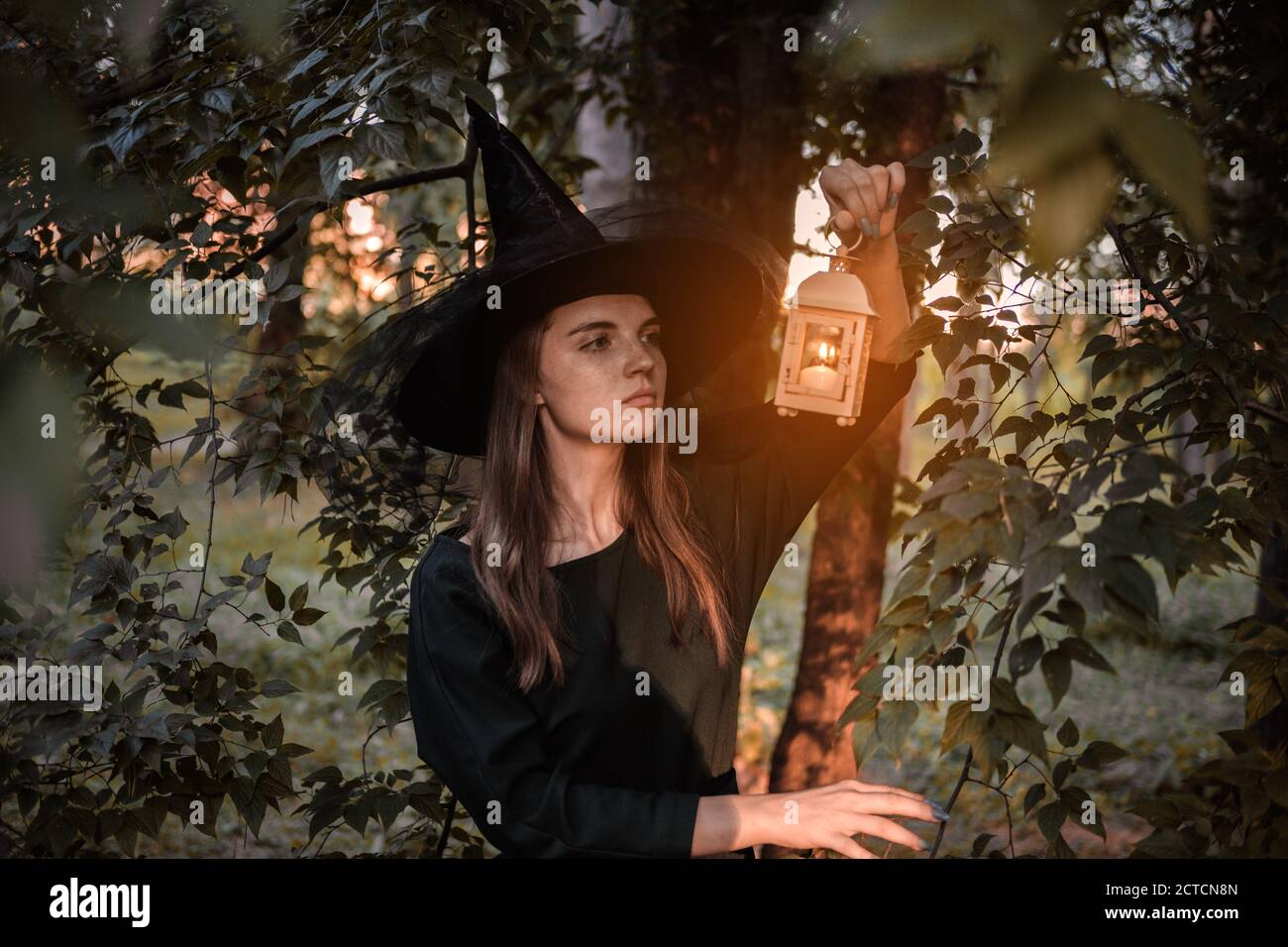 Giovane donna in abito scuro e cappello di strega tiene lanterna con candele in mano e illumina la foresta. Costume da festa di Halloween. Parco con autum Foto Stock