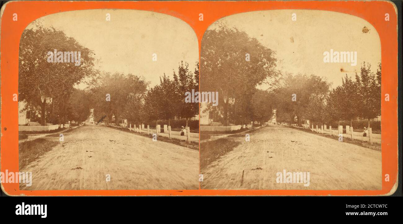 Strada principale dal vecchio comune., immagine, Stereographs, 1850 - 1930, Davis, E. G. (1846-1913 Foto Stock