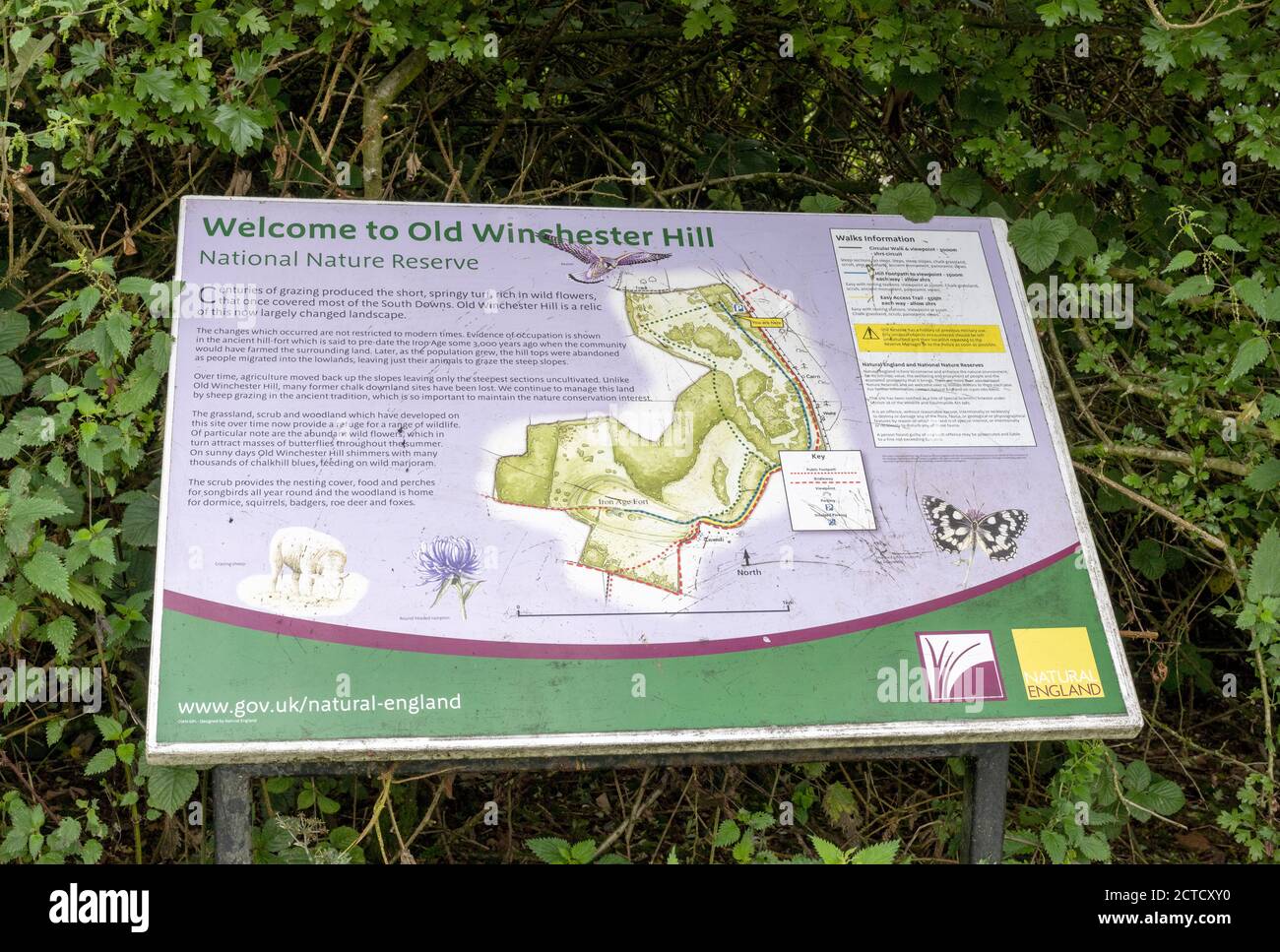 Old Winchester Hill, South Downs National Park, Hampshire, Inghilterra, Regno Unito - vista della scheda di informazioni turistiche. Foto Stock