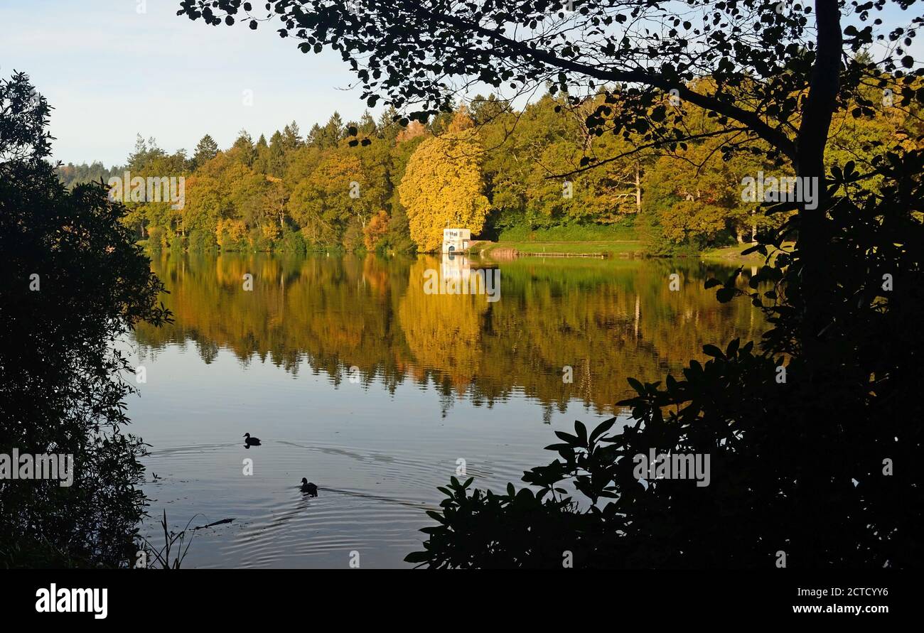 Riflessi autunnali nel lago di Shear Water. Foto Stock