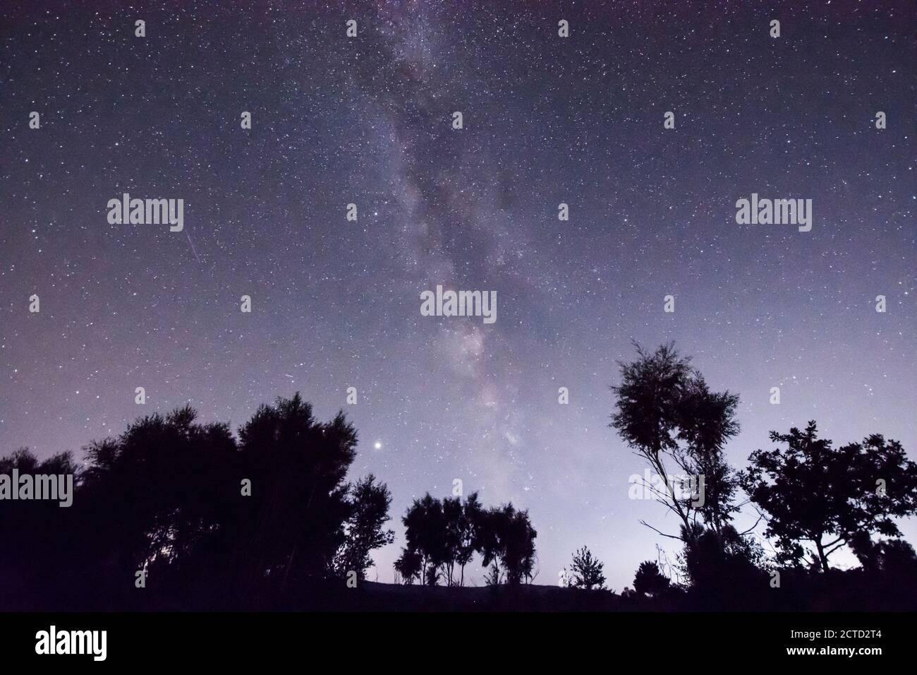 The Milky Way visto da Iping Common, Stedham e Iping Commons, Dark Sky Discovery Site, Sussex, Regno Unito, luglio Foto Stock