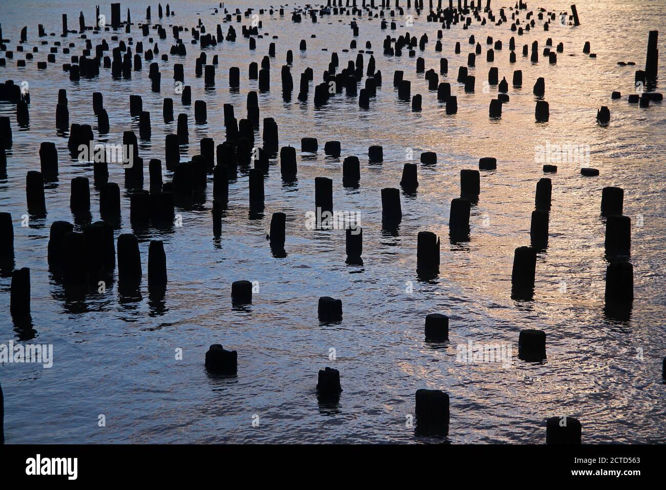Il tramonto tra i pali del fiume Foto Stock