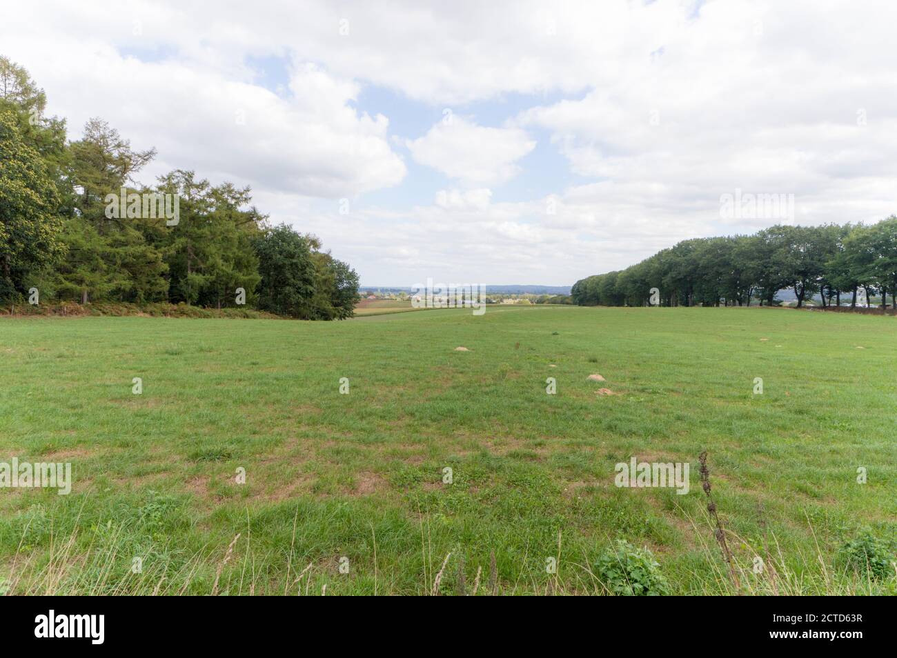 Un campo agricolo nei pressi di Groesbeek, Paesi Bassi Foto Stock