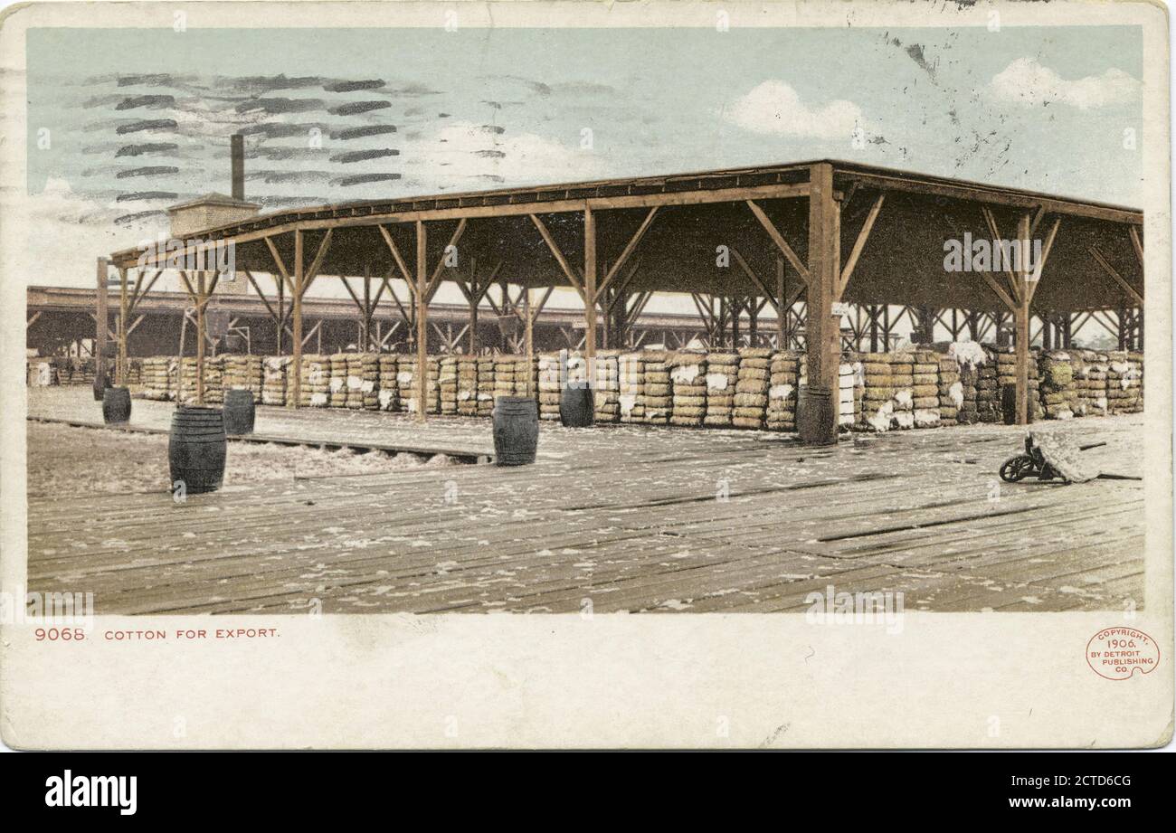 Cotone per l'esportazione, Sud, fermo immagine, Cartoline, 1898 - 1931 Foto Stock