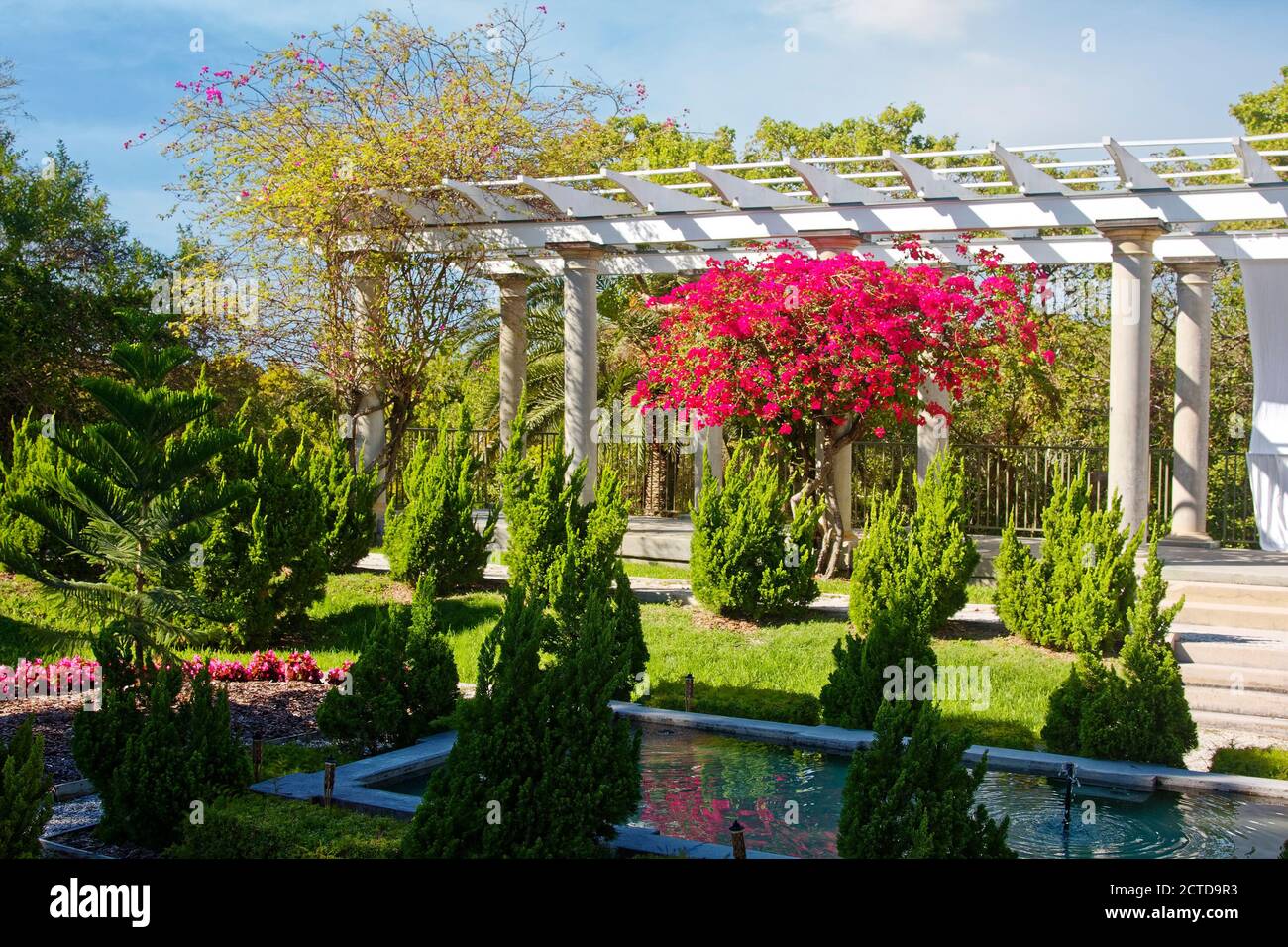 Giardino sommerso, pergola grande, stagno, 1915, arbusti verdi, fiori di bougainvillea magenta, punto storico spagnolo, Florida, Osprey, FL Foto Stock