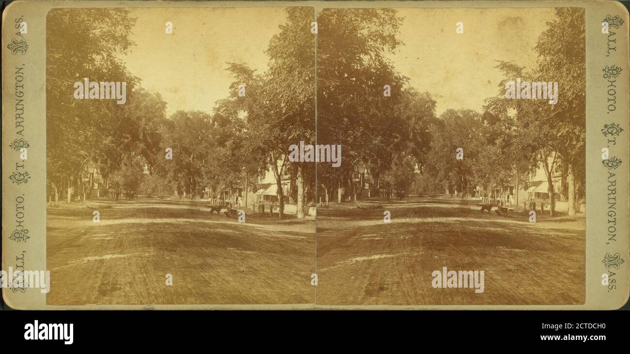 Main Street, Great Barrington., still image, Stereographs, 1850 - 1930, Hall Photo Foto Stock