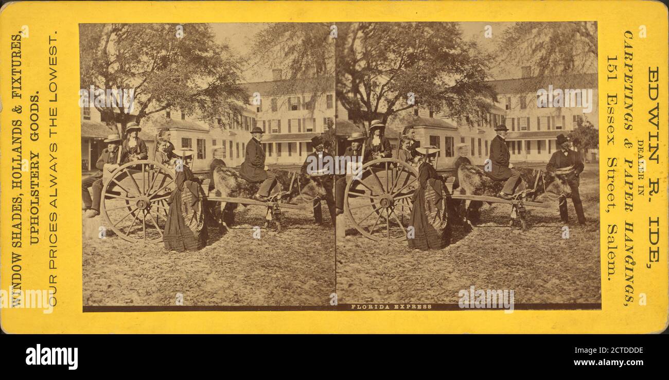 Florida Express., fermo immagine, Stereographs, 1850 - 1930 Foto Stock