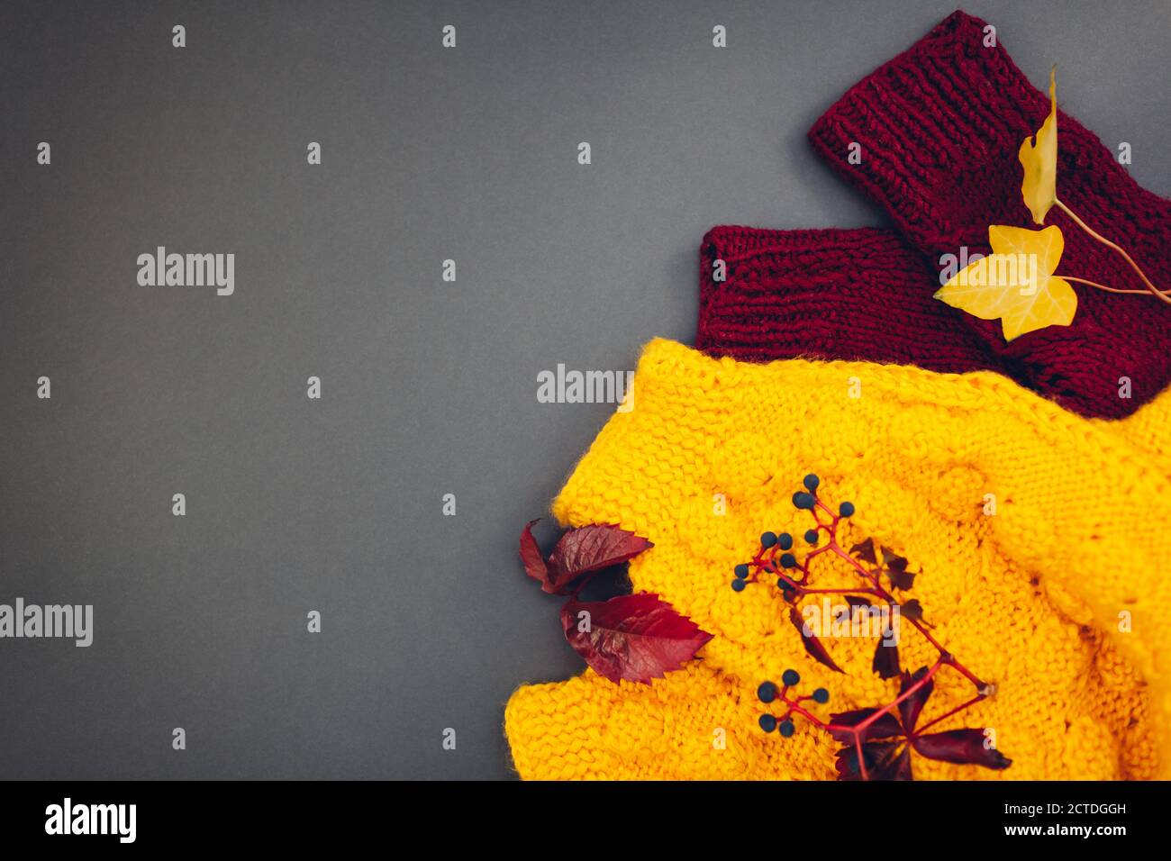 Abiti autunnali. Maglione giallo e bordeaux ricoperto di foglie e bacche. Disposizione piatta, vista dall'alto Foto Stock