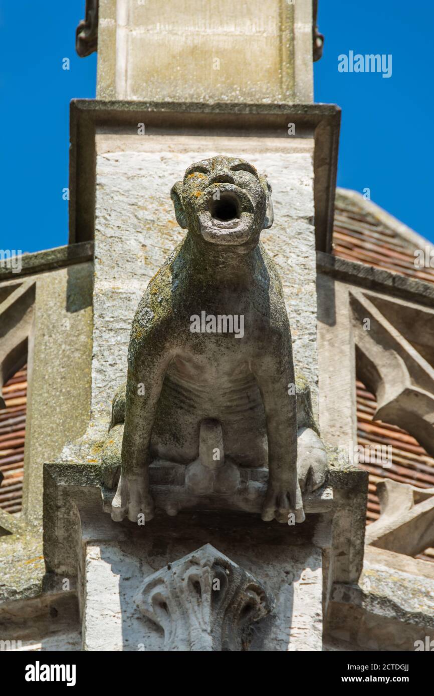 Gargoyle sulla facciata della chiesa di Saint-Pierre, monumento storico di stile gotico, Dreux, Francia Foto Stock