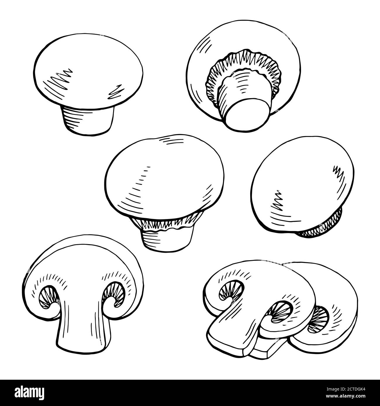 Vettore grafico di illustrazione dello schizzo isolato in bianco nero Champignon Illustrazione Vettoriale